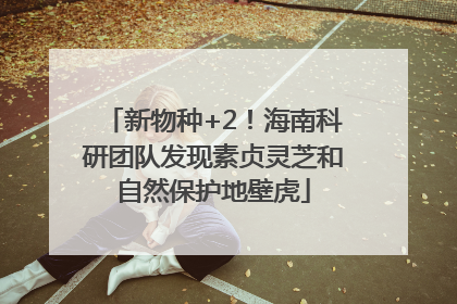 新物种+2！海南科研团队发现素贞灵芝和自然保护地壁虎